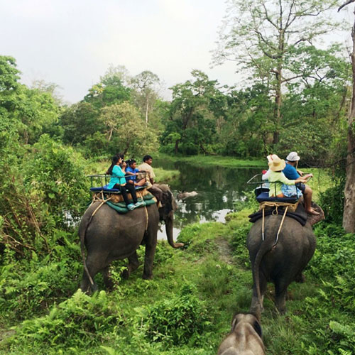 Jaldapara and Madarihat