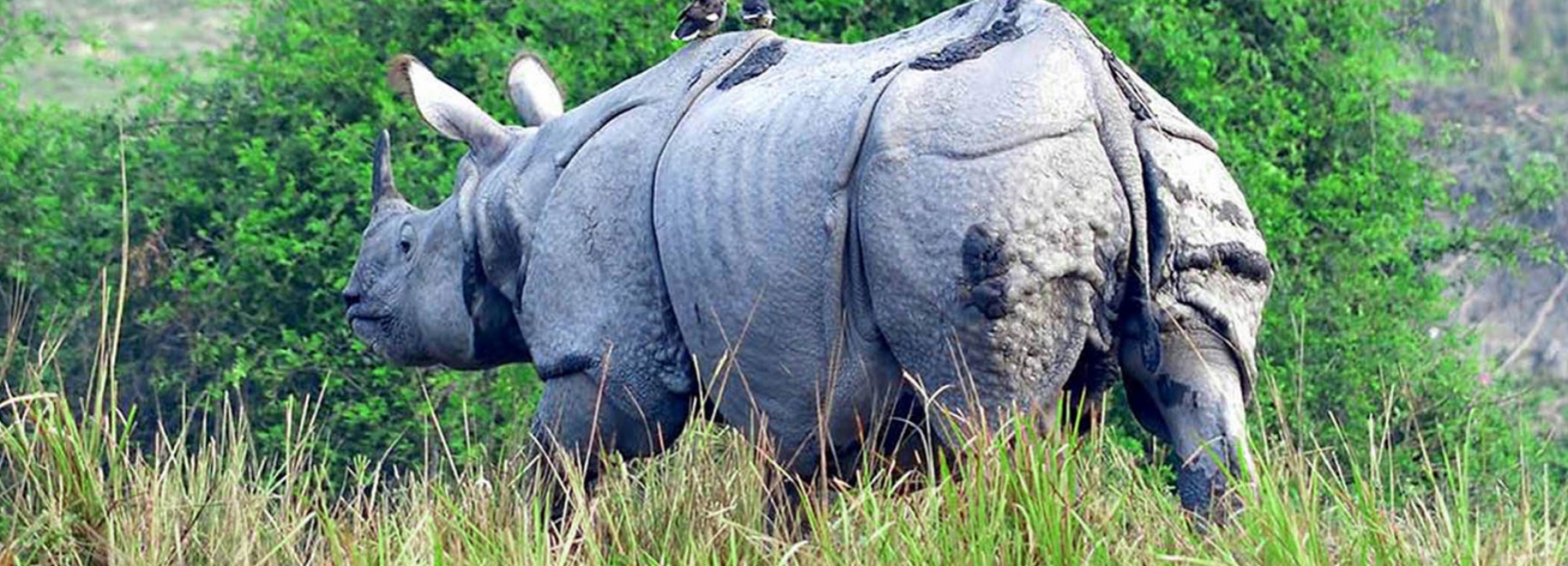 Northeast Tour Packages