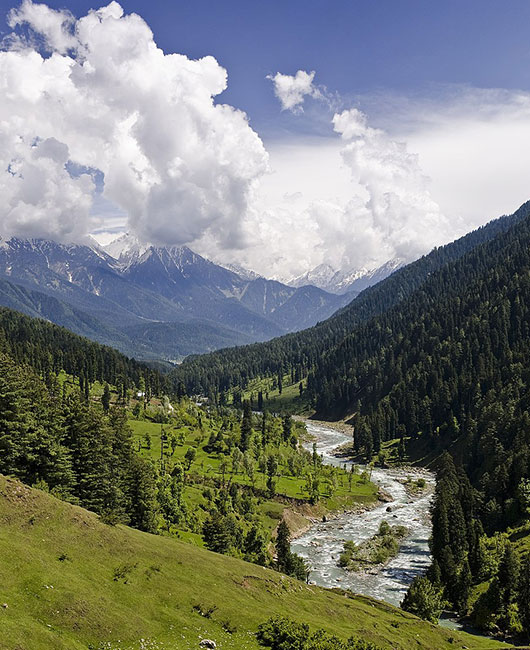 Kashmir